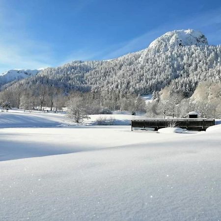 Chalet Des Cascades 勒蒙多尔 外观 照片