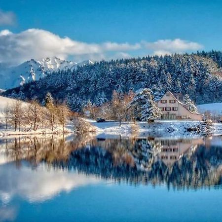 Chalet Des Cascades 勒蒙多尔 外观 照片