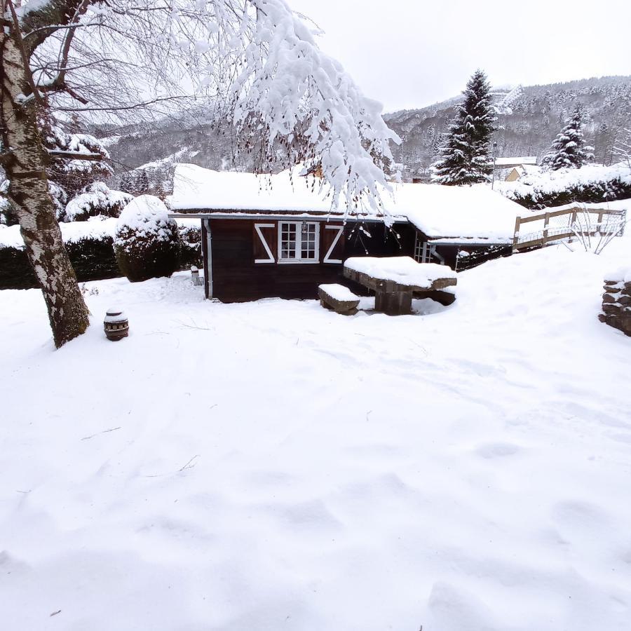 Chalet Des Cascades 勒蒙多尔 外观 照片