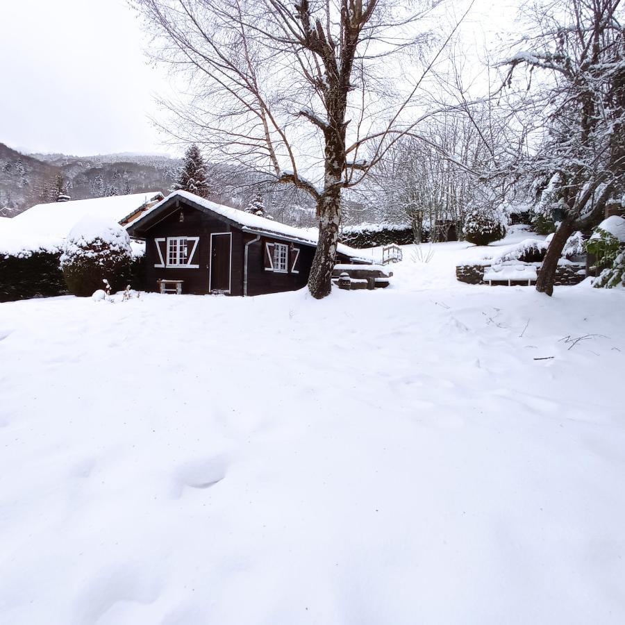 Chalet Des Cascades 勒蒙多尔 外观 照片