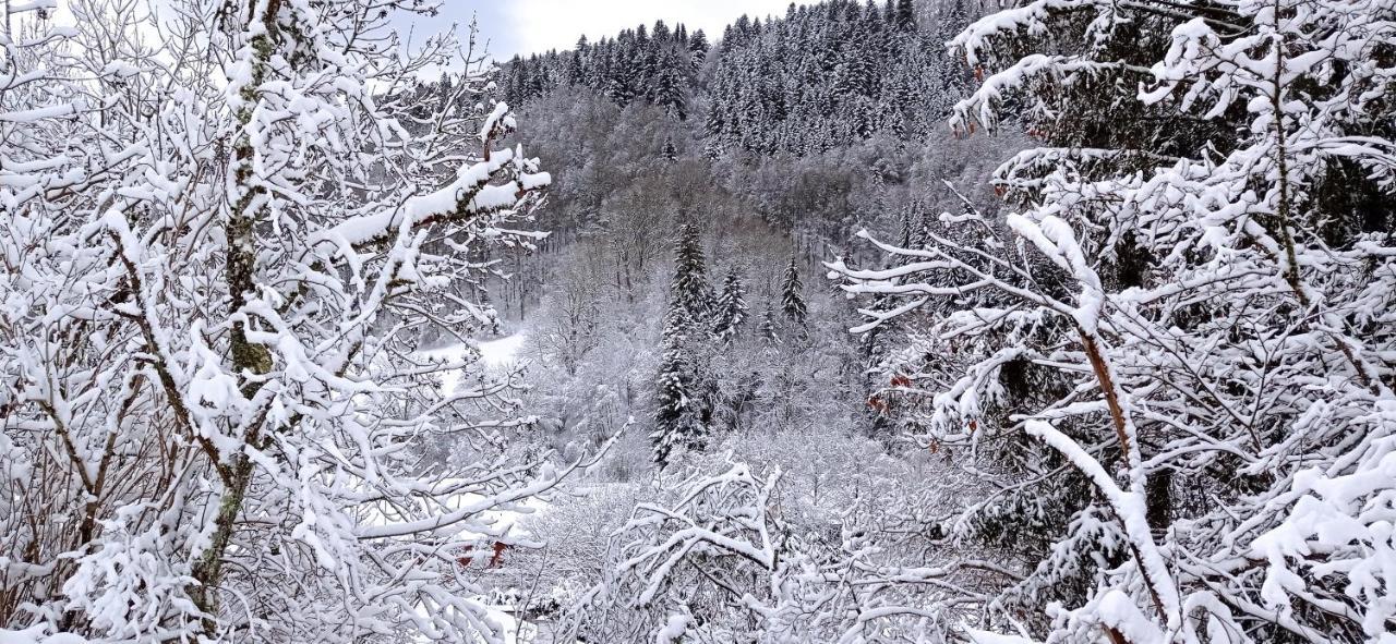 Chalet Des Cascades 勒蒙多尔 外观 照片