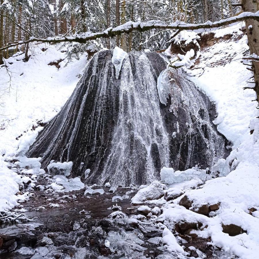Chalet Des Cascades 勒蒙多尔 外观 照片